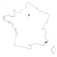 Hyacinthus provincialis Jord. - carte des observations