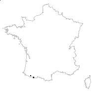 Geophila pyrenaica Bergeret - carte des observations