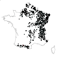 Paris trifolia Renault - carte des observations
