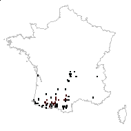 Tractema lilio-hyacinthus (L.) Speta - carte des observations