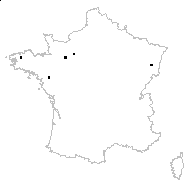 Orchis paludosa (L.) Pall. - carte des observations