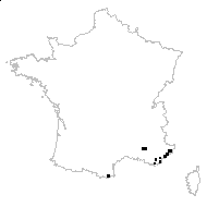 Avena capillaris subsp. provincialis (Jord.) Nyman - carte des observations