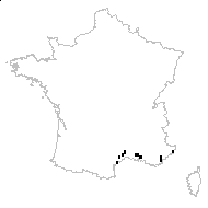 Bromus pseudodanthoniae Drobow - carte des observations