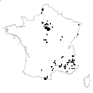 Bromus lateripronus St.-Lag. - carte des observations