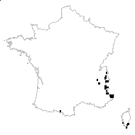 Agrostis villosa Chaix - carte des observations