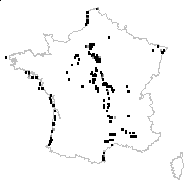 Aira variegata St.-Amans - carte des observations