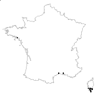 Crypsis aculeata (L.) Aiton - carte des observations