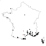 Cynosurus echinatus subsp. purpurascens (Ten.) Arcang. - carte des observations