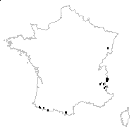 Cirsium heterophyllum var. incisum DC. - carte des observations