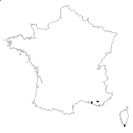Hordeum ciliatum Lam. - carte des observations
