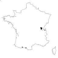 Festuca rubra proles trichophylla (Ducros ex Gaudin) Rouy - carte des observations