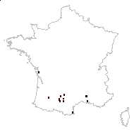 Monerma cylindrica (Willd.) Coss. & Durieu - carte des observations