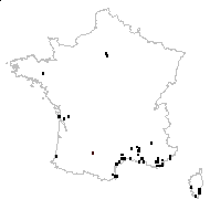 Dimorphanthes angustifolia Cass. - carte des observations
