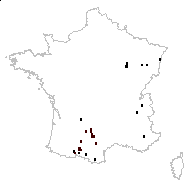 Molinia caerulea subsp. altissima (Link) Domin - carte des observations
