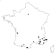 Vilfa verticillata (Vill.) P.Beauv. - carte des observations