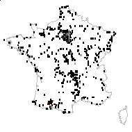 Crepis virens proles diffusa Rouy - carte des observations