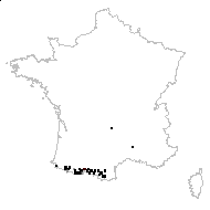 Hieracium lampsanoides Gouan - carte des observations