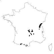 Crepis mollis subsp. hieracioides (Waldst. & Kit. ex Willd.) Domin - carte des observations