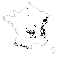 Crepis paludosa (L.) Moench - carte des observations
