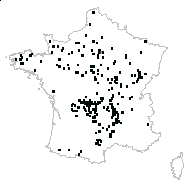 Abies gordoniana Carrière - carte des observations