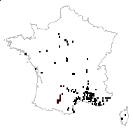 Crepis sancta (L.) Bornm. - carte des observations