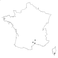 Centaurea crupinastrum Moris - carte des observations