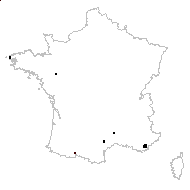 Ophioglossum sabulicola Sauzé & Maillard - carte des observations
