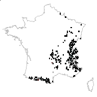 Cyste fragilis (L.) Dulac - carte des observations