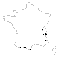 Polypodium myrrhidifolium Vill. - carte des observations