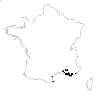 Ononis vulgaris Rouy - carte des observations