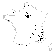 Erigeron orientalis Boiss. - carte des observations