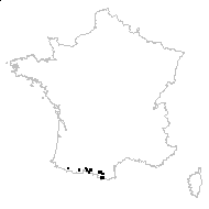 Erigeron alpinus L. subsp. alpinus - carte des observations