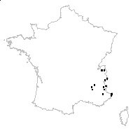 Erigeron alpinus var. furcatus Briq. - carte des observations