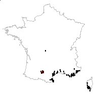Centaurea elegans All. - carte des observations