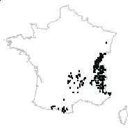 Alchemilla vulgaris subsp. acutangula (Buser) Murb. - carte des observations