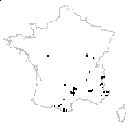 Moenchia saxatilis Schrank - carte des observations