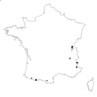 Arabis corymbiflora Vest - carte des observations