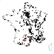 Arenaria olonensis Jord. ex Bonnier - carte des observations