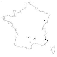Asplenium ×alternifolium Wulfen - carte des observations
