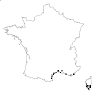 Cakile pinnatifida Stokes - carte des observations