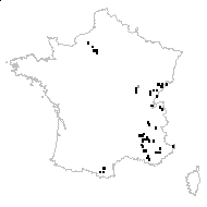Hieracium humile Jacq. - carte des observations