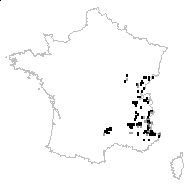 Libanotis pumila Crantz - carte des observations