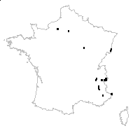 Hieracium praealtum sensu H.J.Coste - carte des observations