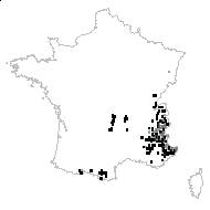 Hieracium panduriforme Dulac - carte des observations