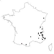 Corallorhiza halleri Rich. - carte des observations