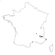Barkhausia graveolens Link - carte des observations