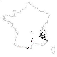 Dactylorhiza sambucina (L.) Soó - carte des observations
