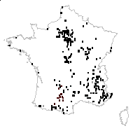 Inula vulgaris Trévis. - carte des observations