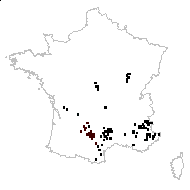 Inula villosa L. - carte des observations