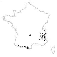 Tessenia alpina (L.) Bubani - carte des observations